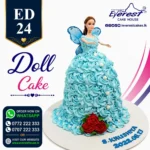 ED - 24